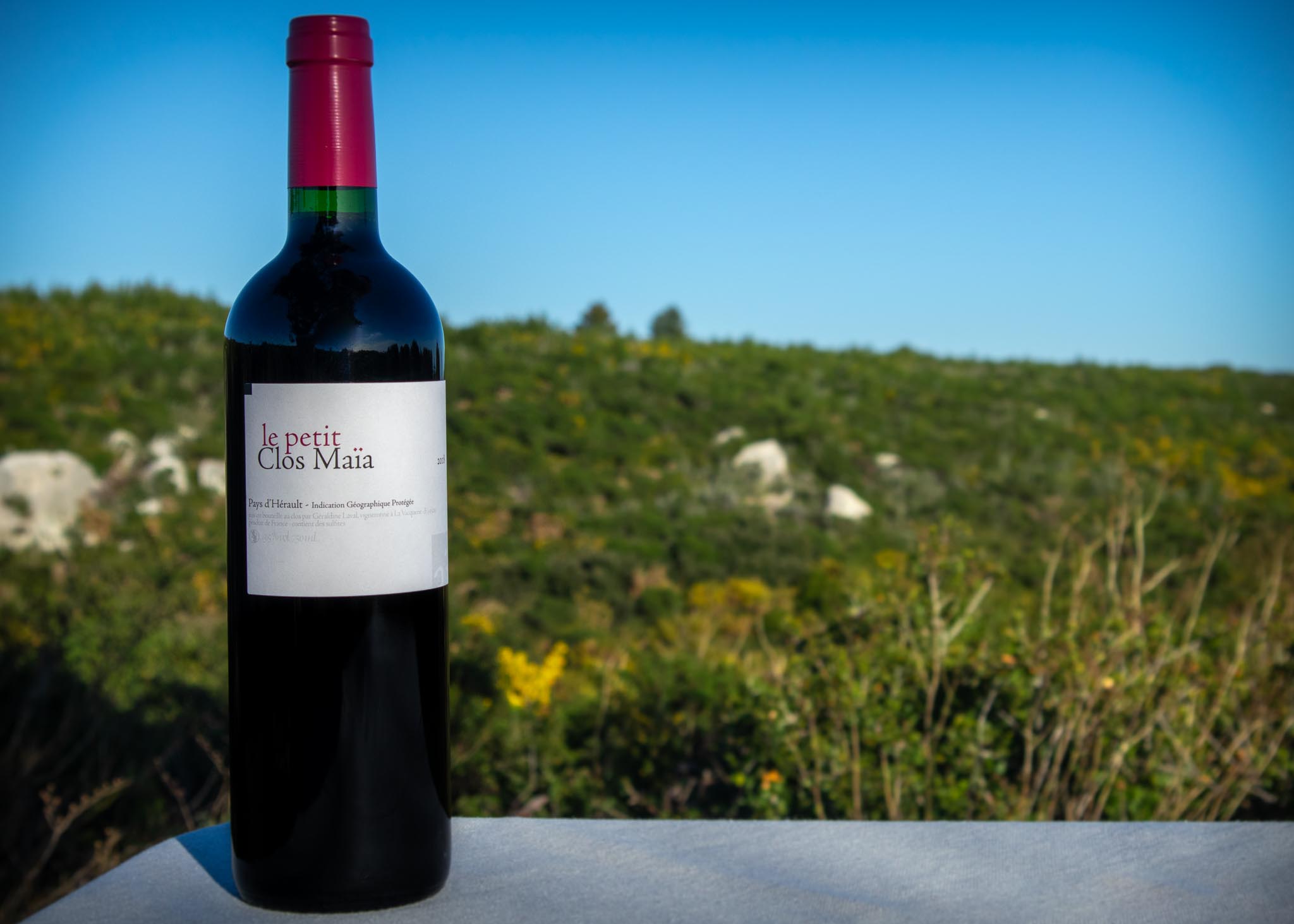 Le Petit Clos un vin des Terrasses du Larzac au milieu de la garrigue