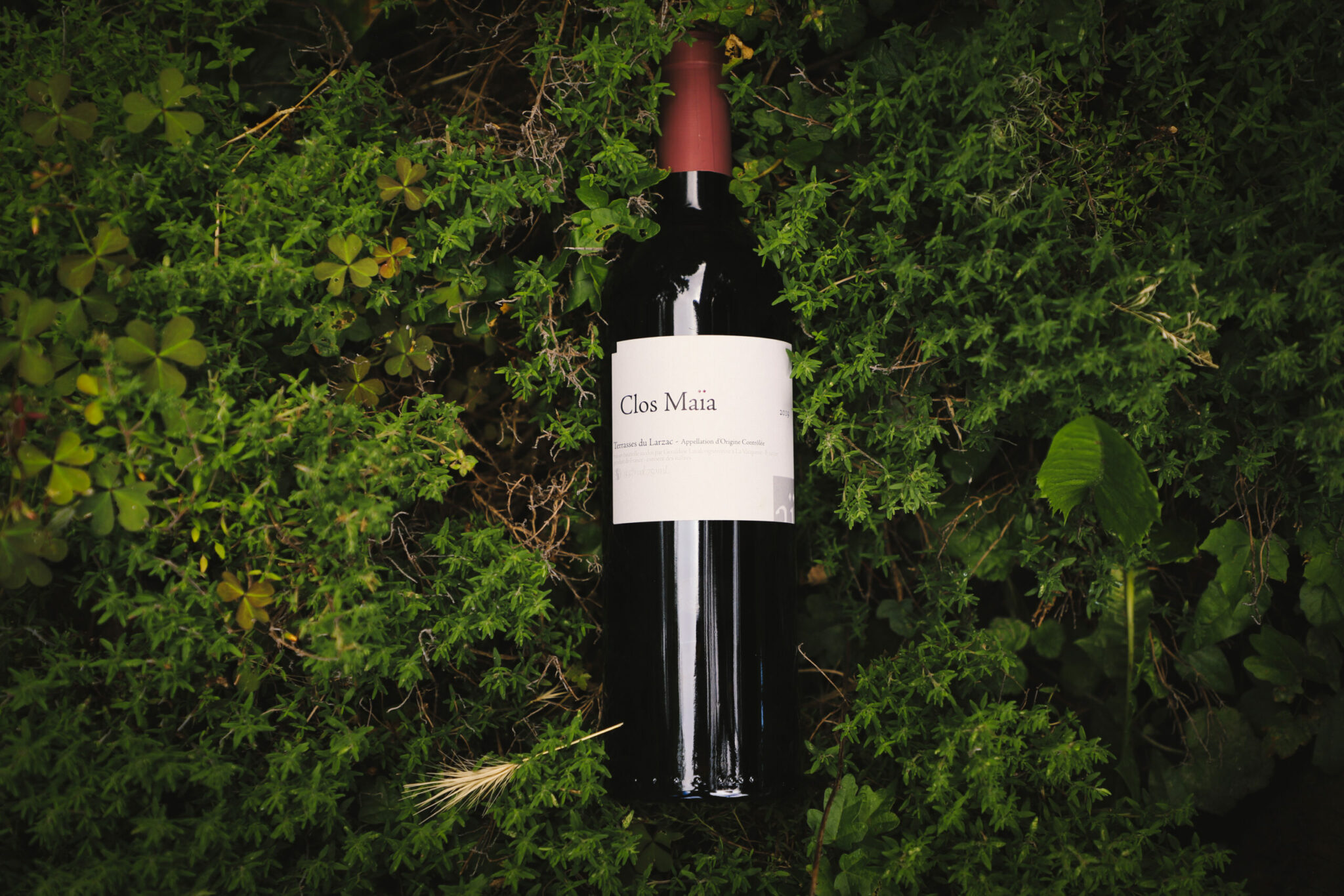 Bouteille de Clos Maïa Rouge un vin des Terrasses du Larza